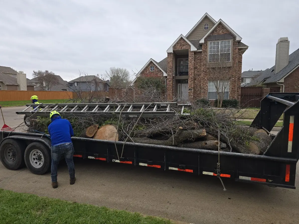 Expert Lot Clearing with proper safety equipment in Anaconda
